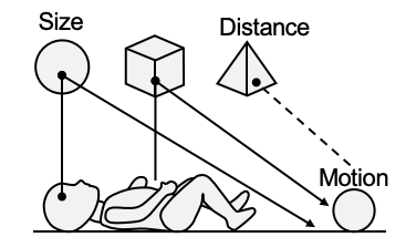 L1: low-level perception